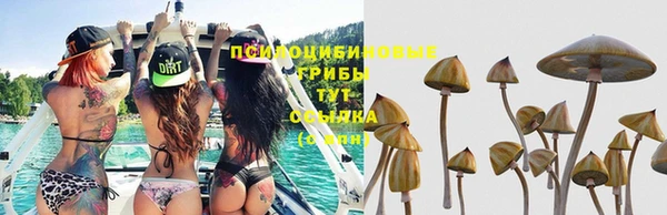 гашиш Осташков